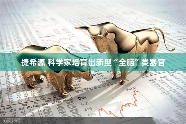 捷希源 科学家培育出新型“全脑”类器官