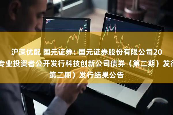 沪深优配 国元证券: 国元证券股份有限公司2025年面向专业投资者公开发行科技创新公司债券（第二期）发行结果公告